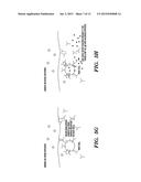 TREATMENT OF lge-MEDIATED DISEASE diagram and image