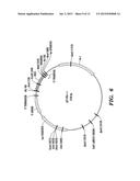 TREATMENT OF lge-MEDIATED DISEASE diagram and image