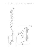 ANTI-ETBR ANTIBODIES AND IMMUNOCONJUGATES diagram and image