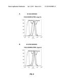 ANTI-ETBR ANTIBODIES AND IMMUNOCONJUGATES diagram and image