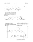 ANTI-ETBR ANTIBODIES AND IMMUNOCONJUGATES diagram and image