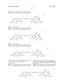 ANTI-ETBR ANTIBODIES AND IMMUNOCONJUGATES diagram and image