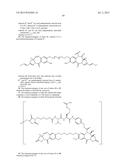 ANTI-ETBR ANTIBODIES AND IMMUNOCONJUGATES diagram and image