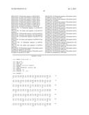 MUTATED GENES FOR THE CATALYTIC PROTEIN OF OPLOPHORUS LUCIFERASE AND USE     THEREOF diagram and image