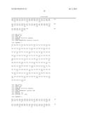 MUTATED GENES FOR THE CATALYTIC PROTEIN OF OPLOPHORUS LUCIFERASE AND USE     THEREOF diagram and image