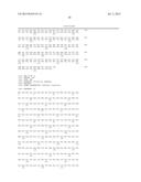 MUTATED GENES FOR THE CATALYTIC PROTEIN OF OPLOPHORUS LUCIFERASE AND USE     THEREOF diagram and image