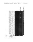 EML4-ALK FUSION GENE diagram and image