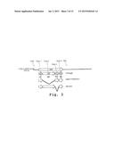 IMMUNOSUPPRESSION COMPOUND AND TREATMENT METHOD diagram and image