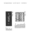 IMMUNOSUPPRESSION COMPOUND AND TREATMENT METHOD diagram and image