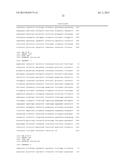 SOYBEAN ADF1 PROMOTER AND ITS USE IN CONSTITUTIVE EXPRESSION OF TRANSGENIC     GENES IN PLANTS diagram and image