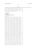 SOYBEAN ADF1 PROMOTER AND ITS USE IN CONSTITUTIVE EXPRESSION OF TRANSGENIC     GENES IN PLANTS diagram and image