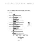 ARTIFICIAL NUCLEIC ACID MOLECULES diagram and image