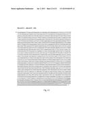 ARTIFICIAL NUCLEIC ACID MOLECULES diagram and image