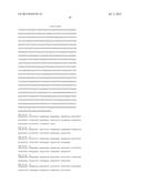 ARTIFICIAL NUCLEIC ACID MOLECULES diagram and image