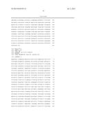 ARTIFICIAL NUCLEIC ACID MOLECULES diagram and image