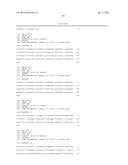 ARTIFICIAL NUCLEIC ACID MOLECULES diagram and image