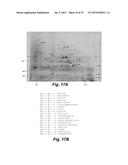 NOVEL LIGNASES AND ALDO-KETO REDUCTASES FOR CONVERSION OF     LIGNIN-CONTAINING MATERIALS TO FERMENTABLE PRODUCTS diagram and image