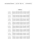 THERMUS THERMOPHILUS NUCLEIC ACID POLYMERASES diagram and image