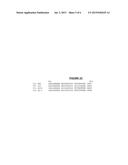 THERMUS THERMOPHILUS NUCLEIC ACID POLYMERASES diagram and image