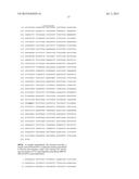 THERMUS THERMOPHILUS NUCLEIC ACID POLYMERASES diagram and image