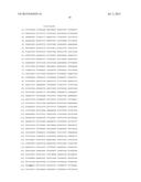 THERMUS THERMOPHILUS NUCLEIC ACID POLYMERASES diagram and image