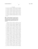 THERMUS THERMOPHILUS NUCLEIC ACID POLYMERASES diagram and image