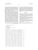 THERMUS THERMOPHILUS NUCLEIC ACID POLYMERASES diagram and image