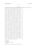 THERMUS THERMOPHILUS NUCLEIC ACID POLYMERASES diagram and image