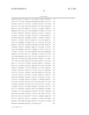 THERMUS THERMOPHILUS NUCLEIC ACID POLYMERASES diagram and image