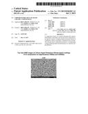 CHROMIUM-FREE SILICATE-BASED CERAMIC COMPOSITIONS diagram and image