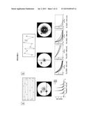 MULTIPLEX SUSPENSION ASSAY/ARRAY USING LIFETIME CODING diagram and image