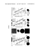 MULTIPLEX SUSPENSION ASSAY/ARRAY USING LIFETIME CODING diagram and image