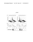 MULTIPLEX SUSPENSION ASSAY/ARRAY USING LIFETIME CODING diagram and image