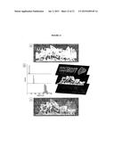 MULTIPLEX SUSPENSION ASSAY/ARRAY USING LIFETIME CODING diagram and image