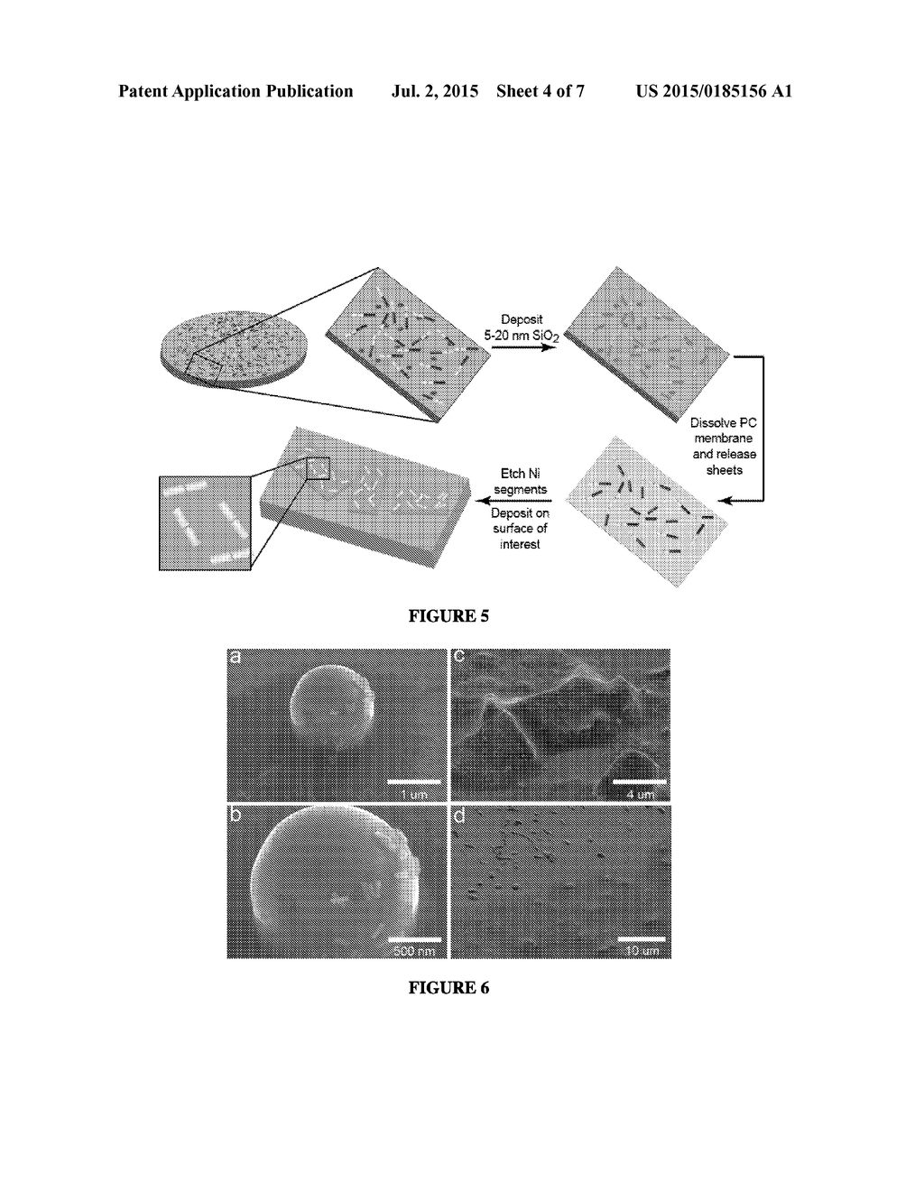 Dispersible Surface-Enhanced Raman Scattering Nanosheets - diagram, schematic, and image 05