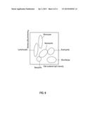 METHOD OF DETECTING FILARIAL LARVAE IN BLOOD, BLOOD ANALYZER, AND     NON-TRANSITORY COMPUTER-READABLE STORAGE MEDIUM diagram and image