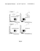 METHOD OF DETECTING FILARIAL LARVAE IN BLOOD, BLOOD ANALYZER, AND     NON-TRANSITORY COMPUTER-READABLE STORAGE MEDIUM diagram and image