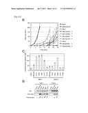 Compositions Comprising RAC Mutants, and Methods of Use Thereof diagram and image