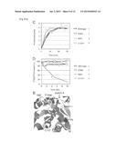 Compositions Comprising RAC Mutants, and Methods of Use Thereof diagram and image