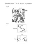 Compositions Comprising RAC Mutants, and Methods of Use Thereof diagram and image