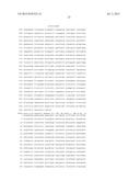 Compositions Comprising RAC Mutants, and Methods of Use Thereof diagram and image