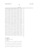 Compositions Comprising RAC Mutants, and Methods of Use Thereof diagram and image