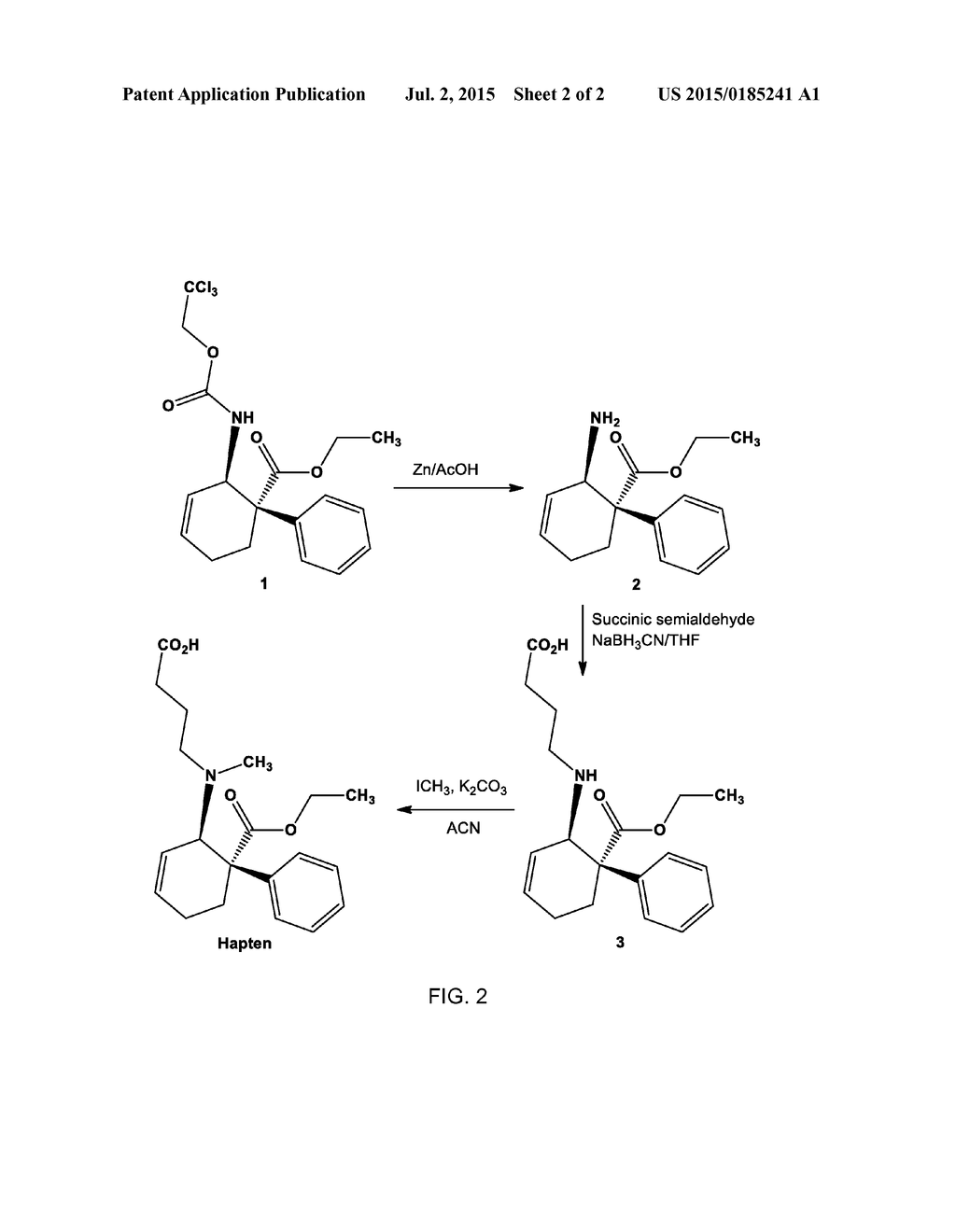 Tilidine Immunodetection - diagram, schematic, and image 03