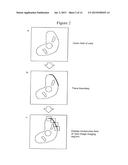 METHOD FOR OBSERVING SAMPLE AND ELECTRONIC MICROSCOPE diagram and image