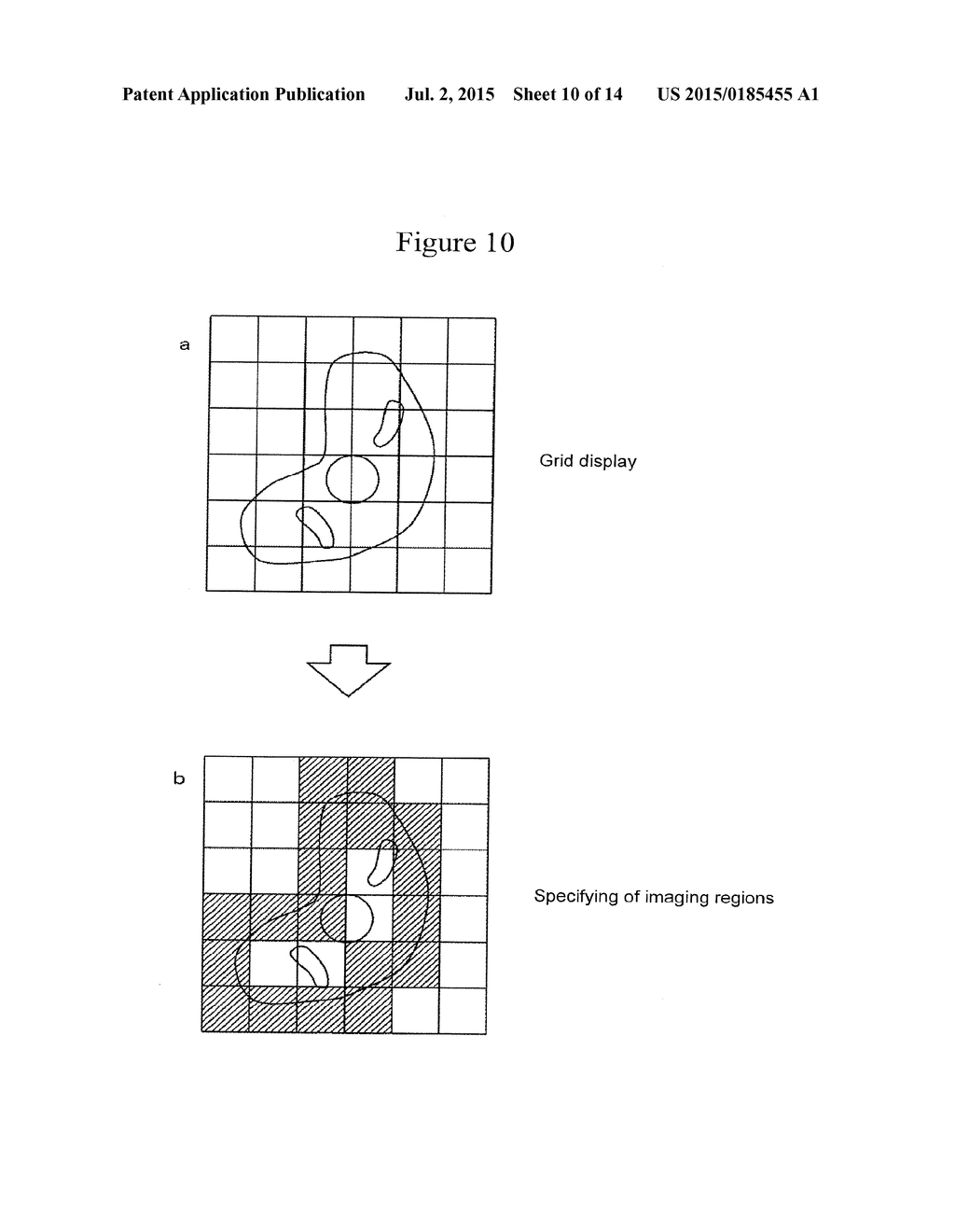 METHOD FOR OBSERVING SAMPLE AND ELECTRONIC MICROSCOPE - diagram, schematic, and image 11