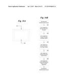 BIOMETRIC ACCESS SYSTEM diagram and image