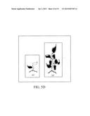 OBTAINING AND DISPLAYING AGRICULTURAL DATA diagram and image