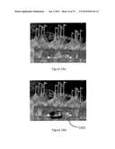 AUGMENTED IMAGE GENERATION diagram and image