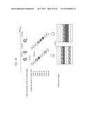 VISIBLE LIGHT COMMUNICATION METHOD, IDENTIFICATION SIGNAL, AND RECEIVER diagram and image