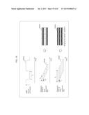 VISIBLE LIGHT COMMUNICATION METHOD, IDENTIFICATION SIGNAL, AND RECEIVER diagram and image